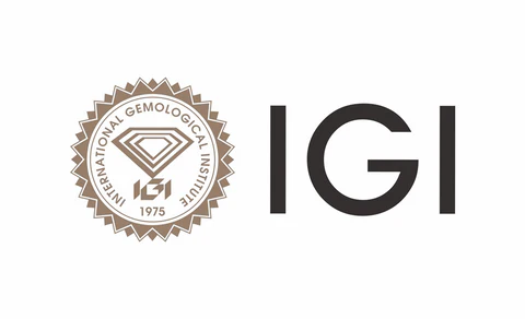 IGI_480x480